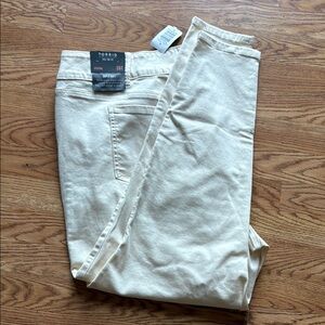 Torrid “Winter Sky” Colored Jeggings